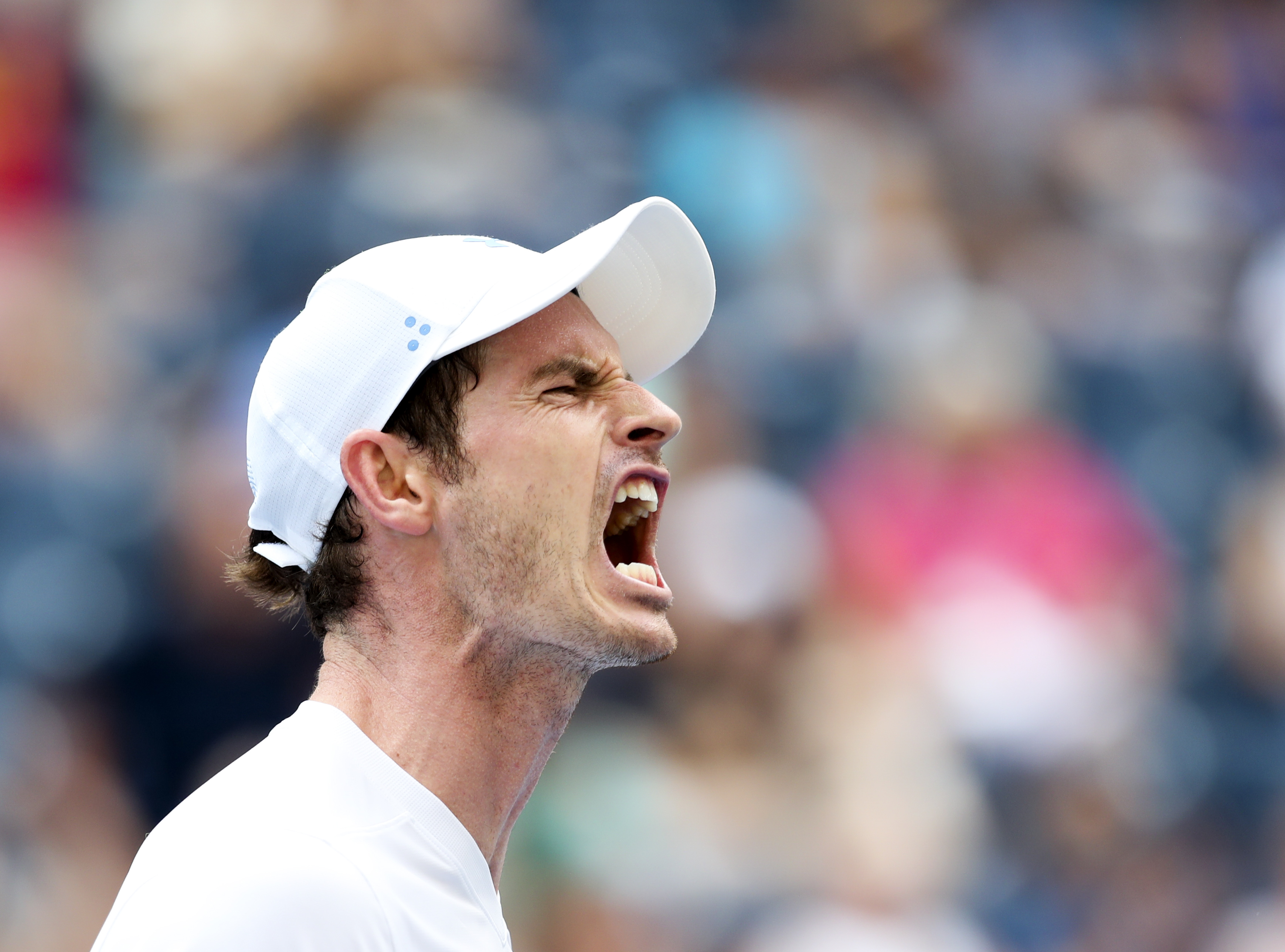 九游体育-关于穆雷迎来二十赛季高光表现，MAD球迷沸腾！的信息